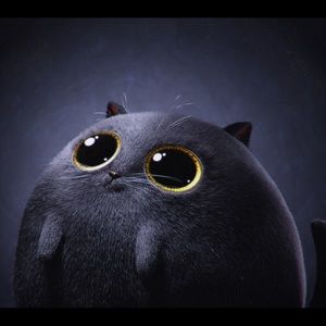 Meet your Posher, Naty